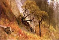 Bierstadt, Albert - Landscape Study Yosemite California